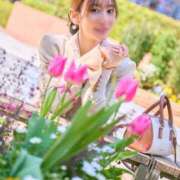 ヒメ日記 2026/04/19 18:15 投稿 乃木風香 ハールブルク