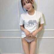 ヒメ日記 2026/04/23 18:26 投稿 乃木風香 ハールブルク