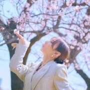 ヒメ日記 2026/04/24 10:01 投稿 乃木風香 ハールブルク