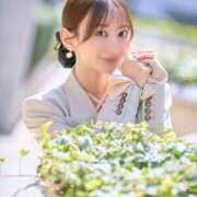 ヒメ日記 2026/04/28 06:30 投稿 乃木風香 ハールブルク
