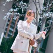 ヒメ日記 2026/05/25 08:20 投稿 乃木風香 ハールブルク