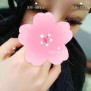 ヒメ日記 2025/03/31 10:19 投稿 深弥～MIYA～ パラダイス(泉大津)