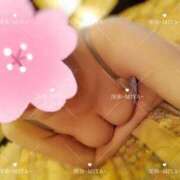 ヒメ日記 2025/04/03 21:57 投稿 深弥～MIYA～ パラダイス(泉大津)