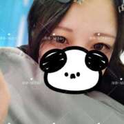 ヒメ日記 2025/04/16 10:27 投稿 深弥～MIYA～ パラダイス(泉大津)