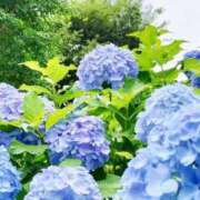 ヒメ日記 2025/06/11 00:57 投稿 深弥～MIYA～ パラダイス(泉大津)