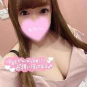 ヒメ日記 2025/08/07 13:54 投稿 しいな 桃李（とうり）