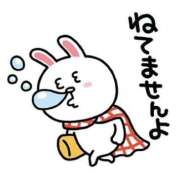 ヒメ日記 2025/03/08 07:31 投稿 上戸そら ABC 岩手ソープ