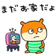 ヒメ日記 2025/04/28 07:01 投稿 上戸そら ABC 岩手ソープ