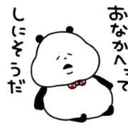 ヒメ日記 2025/05/09 14:31 投稿 上戸そら ABC 岩手ソープ