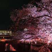 ヒメ日記 2026/04/10 00:01 投稿 上戸そら ABC 岩手ソープ