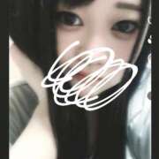 ヒメ日記 2025/01/24 22:31 投稿 ひばり 若葉