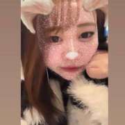 ヒメ日記 2025/02/05 22:25 投稿 ひばり 若葉