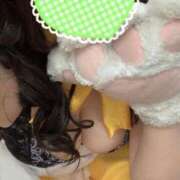 ヒメ日記 2025/02/14 12:05 投稿 ひばり 若葉