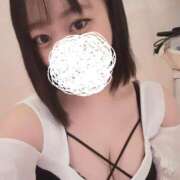 ヒメ日記 2025/03/07 15:35 投稿 ひばり 若葉