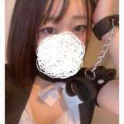 ヒメ日記 2025/03/14 12:45 投稿 ひばり 若葉