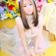 ヒメ日記 2025/04/04 14:29 投稿 ひばり 若葉