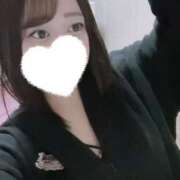 ヒメ日記 2025/04/14 13:45 投稿 ひばり 若葉