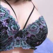 ヒメ日記 2025/04/18 14:35 投稿 ひばり 若葉