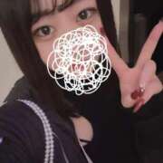 ヒメ日記 2025/04/26 10:05 投稿 ひばり 若葉