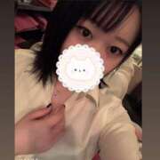 ヒメ日記 2025/06/10 14:55 投稿 ひばり 若葉