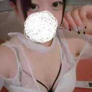 ヒメ日記 2025/06/24 12:35 投稿 ひばり 若葉