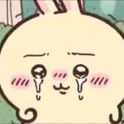 ヒメ日記 2025/07/16 14:25 投稿 ひばり 若葉