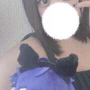 ヒメ日記 2025/07/26 12:55 投稿 ひばり 若葉