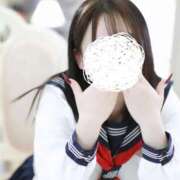 ヒメ日記 2025/07/28 12:35 投稿 ひばり 若葉