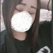 ヒメ日記 2025/09/03 12:40 投稿 ひばり 若葉