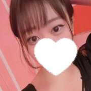 ヒメ日記 2025/09/06 12:45 投稿 ひばり 若葉