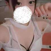 ヒメ日記 2025/09/14 12:45 投稿 ひばり 若葉