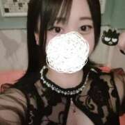 ヒメ日記 2025/10/23 16:25 投稿 ひばり 若葉