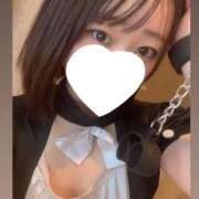 ヒメ日記 2025/10/29 10:29 投稿 ひばり 若葉