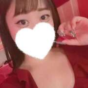 ヒメ日記 2025/11/17 12:45 投稿 ひばり 若葉