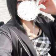 ヒメ日記 2025/11/19 08:16 投稿 ひばり 若葉