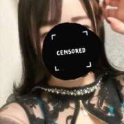 ヒメ日記 2025/11/23 15:55 投稿 ひばり 若葉