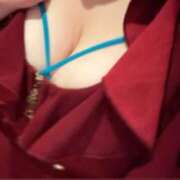 ヒメ日記 2025/12/05 12:25 投稿 ひばり 若葉