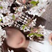 ヒメ日記 2025/03/29 12:02 投稿 詩音（しのん） DIVA-ディーバ-【DIVAグループ】