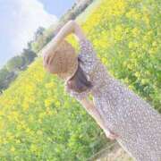 ヒメ日記 2025/04/14 12:02 投稿 詩音（しのん） DIVA-ディーバ-【DIVAグループ】