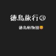 ヒメ日記 2025/04/25 14:08 投稿 詩音（しのん） DIVA-ディーバ-【DIVAグループ】