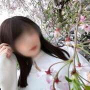 ヒメ日記 2025/06/15 14:46 投稿 詩音（しのん） DIVA-ディーバ-【DIVAグループ】