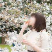 ヒメ日記 2025/06/19 17:31 投稿 詩音（しのん） DIVA-ディーバ-【DIVAグループ】