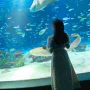 ヒメ日記 2025/08/09 13:14 投稿 詩音（しのん） DIVA-ディーバ-【DIVAグループ】