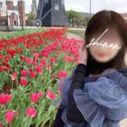 ヒメ日記 2025/09/09 18:01 投稿 詩音（しのん） DIVA-ディーバ-【DIVAグループ】