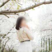 ヒメ日記 2026/03/01 12:01 投稿 詩音（しのん） DIVA-ディーバ-【DIVAグループ】