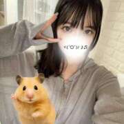 ヒメ日記 2025/07/02 13:23 投稿 うゆ 吉原ファーストレディ