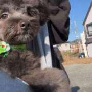 ヒメ日記 2025/12/15 05:48 投稿 うゆ 吉原ファーストレディ