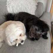 ヒメ日記 2026/03/02 10:36 投稿 うゆ 吉原ファーストレディ