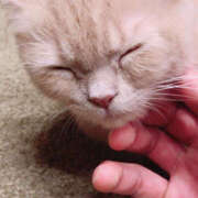 ヒメ日記 2025/06/10 23:44 投稿 めろ クラブダイヤモンド名古屋