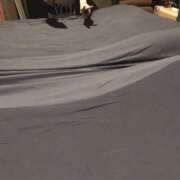 めろ シャッフル7日目 クラブダイヤモンド名古屋